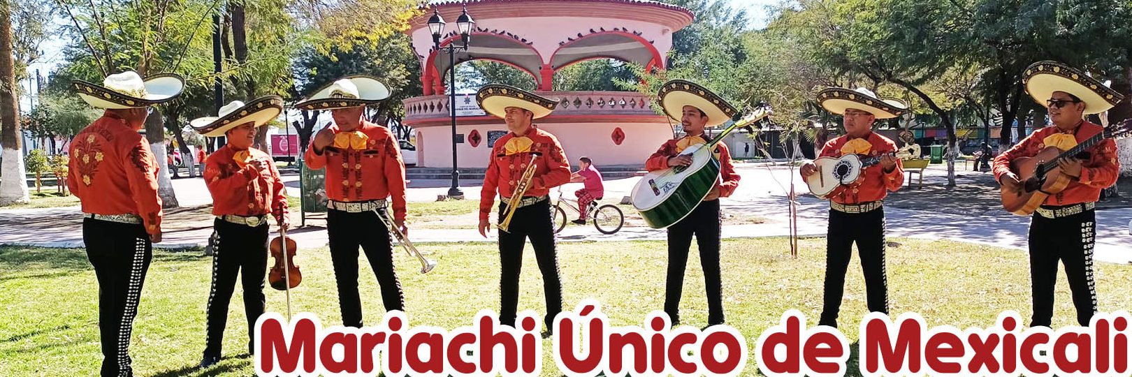 mariachi unico de